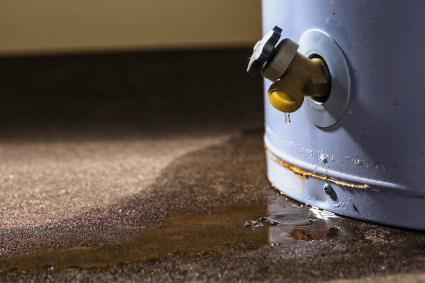 Best Flooded house restoration  in West Livingston, TX