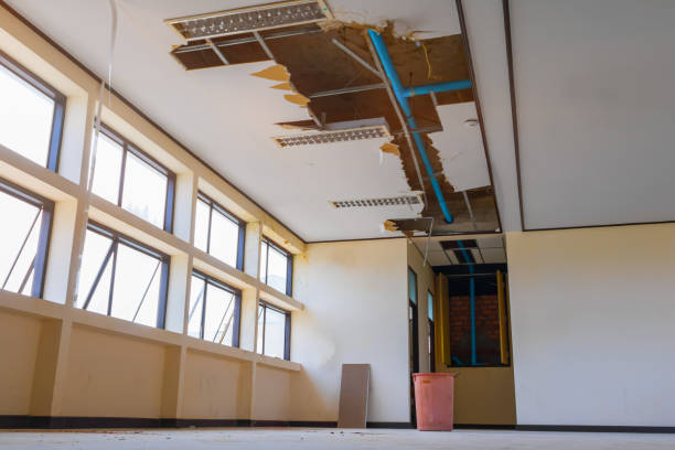 Best Water damage restoration near me  in West Livingston, TX