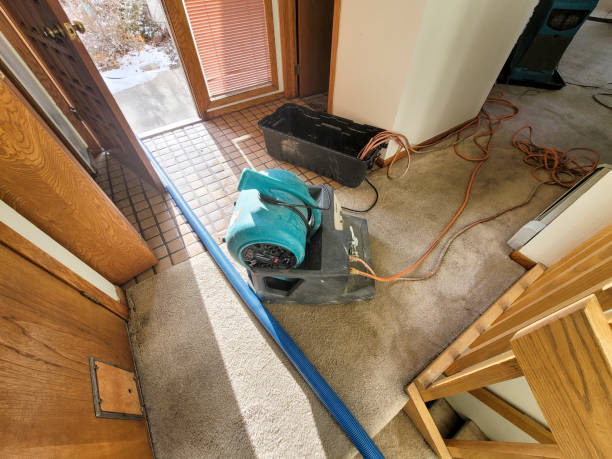Best Water damage repair service  in West Livingston, TX