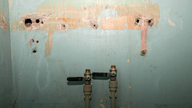 Best Professional water damage repair  in West Livingston, TX