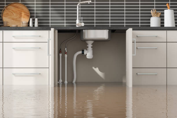 Best Water damage contractors near me  in West Livingston, TX