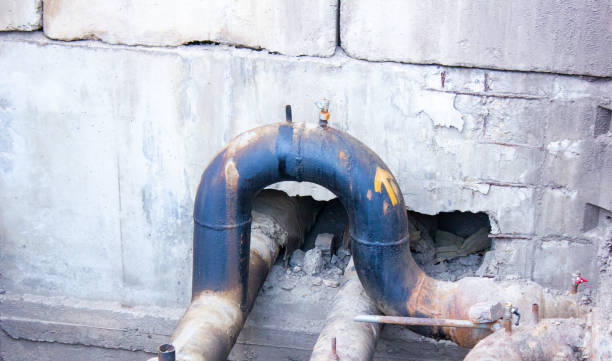 Best Flood restoration services  in West Livingston, TX