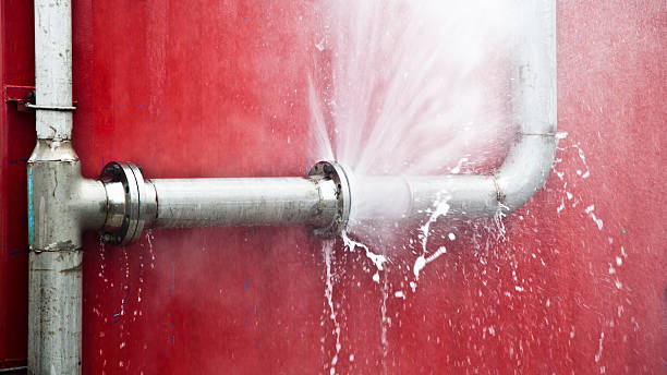 Best Fire Damage Restoration  in West Livingston, TX